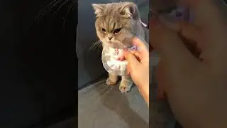 Um grande erro no escorregador! 😳