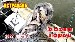 Астрахань 2022 / За сазаном и карасём / часть 3
