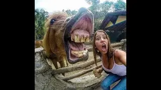 8 МИНУТ СМЕХА ДО СЛЕЗ| РУССКИЕ ПРИКОЛЫ 2019| BEST COUB #6