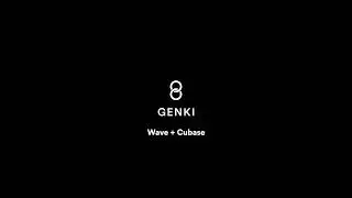 Wave+Cubase - Mapping instructions