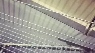 Подруги разыграли в супермаркете 😹❤️