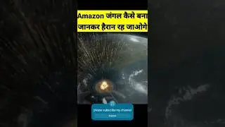 how did amoazon jungle form #the#viral#video🫠🤩😘🤑