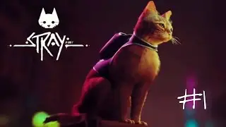 Прохождение игрофильм (Stray) НАЧАЛО #1
