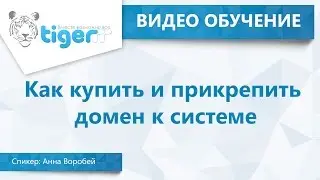 Как купить и прикрепить домен к системе
