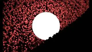 VILLI.