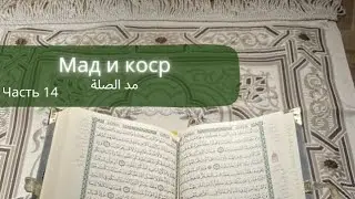 Почему тянем Мадд сыля?