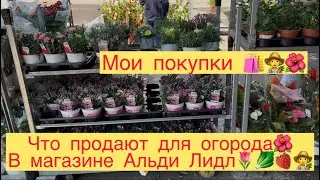 ЧТО ПРОДАЮТ ДЛЯ ОГОРОДА 👩‍🌾🌷🍓🌱В АЛЬДИ ЛИДЛ 👩‍🌾МОИ ПОКУПКИ 🛍️🌺🌷🍆