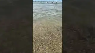 на побережье Черного моря 😊