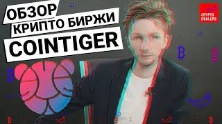 Обзор крипто биржи CoinTiger