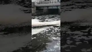Посмотрите, во что превратилась Свислочь в центре Минска