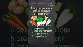 Человек и мир 1-2 класс 2017 №19