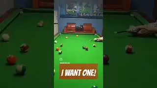 2A community pool stick need! 😂 #pool #gunlover #2acommunity #innovation -video credit @rubberbilhar