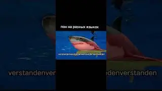 пон на разных языках