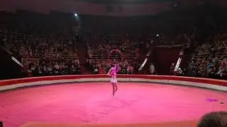 Цирк Восторг Цирк III тысячелетия Смирнова Екатерина