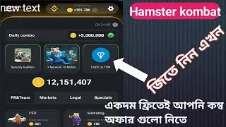 Mastering the Perfect Hamster Kombat Combo