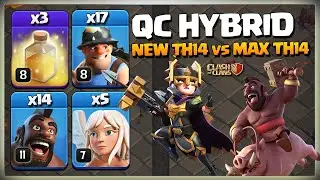 CWL GOD! TH14 Hybrid | Queen Charge Hog Miner Attack Strategy | Best TH14 Attack Clash of clans Coc