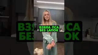 🤯Маха Горячева уделала блогеров