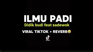 ILMU PADI - DIDIK BUDI FEAT SADEWOK | lirik lagu galau | lirik lagu sedih | viral titkok | lagu jawa