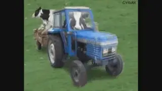 анимационное видео часть 2