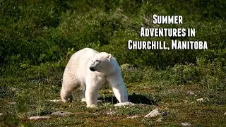 Summer Adventures in Churchill, Manitoba
