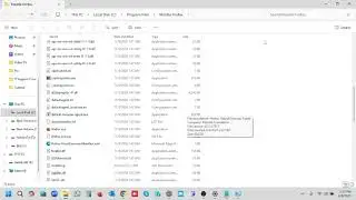 Firefox browser update permanently disable