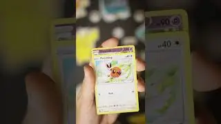 💰BOOSTED Booster Box of Silver Tempest #shorts 💰
