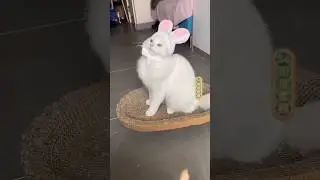Снимай под мою песню всех замечаю и лайкаю❤️ 