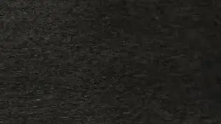 Untitled video