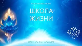 Школа Жизни и 3д реальность