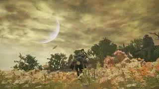 This is the most gorgeous view I ever seen in Video Game