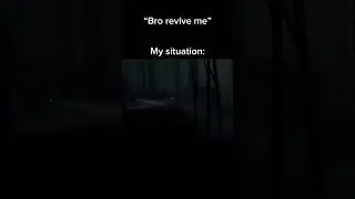 “Bro revive me” my situation: