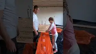рабочий процесс