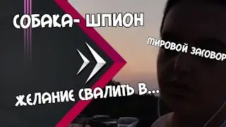 АКТУАЛЬНЫЙ РАЗГОВОР(АР) или куда она все время идет?