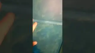 ванная комната в каркасном доме