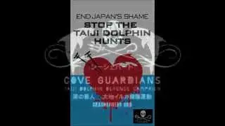 Ana & Eclectus Parrots Support #WorldLoveForDolphinsDay 2015! #Tweet4Taiji