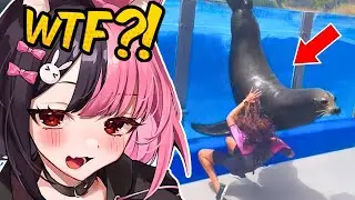 THIS GAVE ME ANXIETY!! | Daily Dose Of Internet Reaction