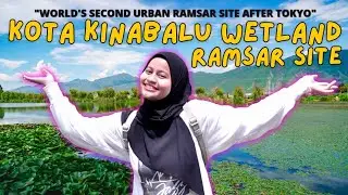 WOW!!! HANYA ADA 2 HUTAN SEPERTI INI DI DUNIA?! SALAH SATUNYA ADA DI SABAH | Kota Kinabalu Wetland