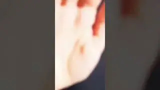 Универсальный musthave этого сезона