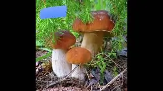 как хочется вернуться в детство