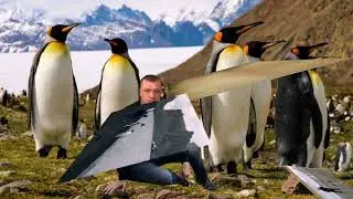 • Ulukmanapo • Семьдесят пятый •