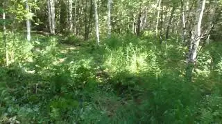 #мотоблок