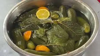 Бодринг тузлаш (11соатда тузланди малосольний)