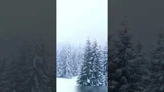А.Маршал 