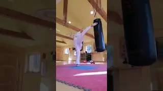 🔝Mawashi-geri chudan & jodan