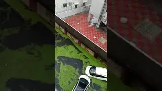 unbelievable cars on the water
