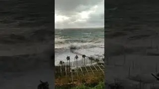 Шторм  7 балов в Ялте сносит пальмы #шторм #видео #стихия #волны #сегодня #катаклизмы #море