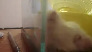 wierd positon 2