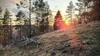 Тизер "Карельской самоизоляции 2020"