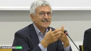 Castelnuovo del Garda: intervento integrale di Massimo Dalema