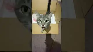 Небольшая кухня на дачу